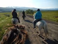 Akureyri - Island Pferde - Rundreise Reisekombination Island und Grönland 
