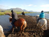 Akureyri - Island Pferde - Rundreise Reisekombination Island und Grönland 