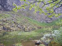 Felsenschlucht Asbyrgi  - Reykjavík Rundreise Reisekombination Island und Grönland 