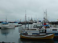 Husavik - Rundreise Reisekombination Island und Grönland 