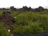 Myvatn See Gebiet - Rundreise Reisekombination Island und Grönland 
