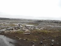 Detifoss Wasserfall - Rundreise Reisekombination Island und Grönland 