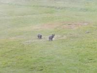 Rundreise Reisekombination Island und Grönland 