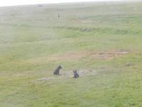 Rundreise Reisekombination Island und Grönland 