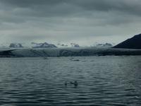 Gletscherlagune - Rundreise Reisekombination Island und Grönland 