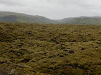 Südküste Rundreise Reisekombination Island und Grönland 