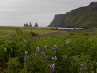 Südküste Rundreise Reisekombination Island und Grönland 