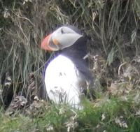 Rundreise Reisekombination Island und Grönland 