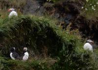 Rundreise Reisekombination Island und Grönland 