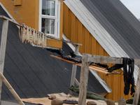 Grönland - Rundreise Reisekombination Island und Grönland 