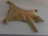 Grönland - Rundreise Reisekombination Island und Grönland 