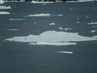 Grönland - Rundreise Reisekombination Island und Grönland 