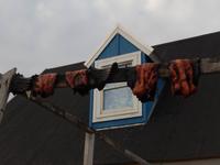 Grönland - Rundreise Reisekombination Island und Grönland 