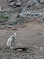 Grönland - Rundreise Reisekombination Island und Grönland 