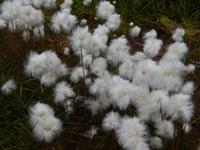 Grönland - Rundreise Reisekombination Island und Grönland 