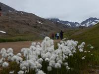 Grönland - Rundreise Reisekombination Island und Grönland 