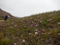 Grönland - Rundreise Reisekombination Island und Grönland 