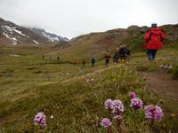 Grönland - Rundreise Reisekombination Island und Grönland 