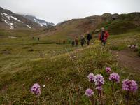 Grönland - Rundreise Reisekombination Island und Grönland 