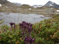 Grönland - Rundreise Reisekombination Island und Grönland 