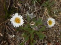 Grönland - Rundreise Reisekombination Island und Grönland 
