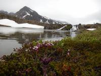 Grönland - Rundreise Reisekombination Island und Grönland 