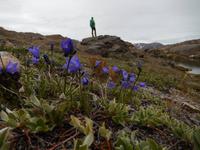 Grönland - Rundreise Reisekombination Island und Grönland 
