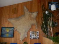 Grönland - Rundreise Reisekombination Island und Grönland 