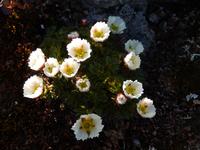 Grönland - Rundreise Reisekombination Island und Grönland 