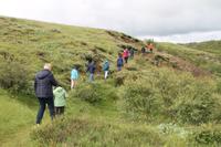 Spaziergang am Fluss Hvitá