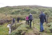 Spaziergang am Fluss Hvitá