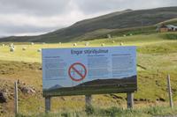 Fahrt durchs (grüne) Hochland 