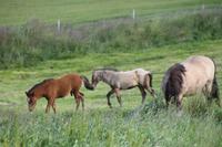 Besuch des Heimatmuseum - 