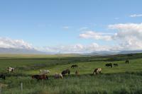 Besuch des Heimatmuseum - 