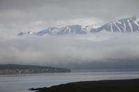 Fahrt von Dalvik zur Whale Watching Tour