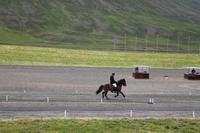 Reitturnier auf der Pferderennbahn