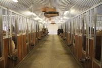 Besichtigung von Annas Pferdehof