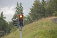 Besichtigung von Annas Pferdehof