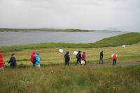 Rundgang am Mückensee - Myvatn
