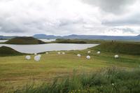 Rundgang am Mückensee - Myvatn