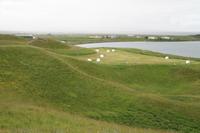 Rundgang am Mückensee - Myvatn