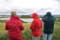 Rundgang am Mückensee - Myvatn