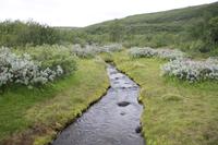 Wanderweg Hijóòaklettar - zum Fluss Grenisbjörg 