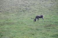 Überraschung am Wegesrand :)