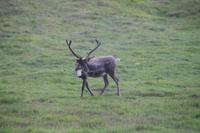 Überraschung am Wegesrand :)