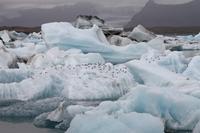 Gletscher Lagune in Südisland