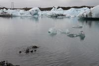 Gletscher Lagune in Südisland