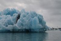Fahrt mit einem Amphibienfahrzeug durch die Gletscher Lagune  