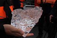 Fahrt mit einem Amphibienfahrzeug durch die Gletscher Lagune  