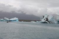 Fahrt mit einem Amphibienfahrzeug durch die Gletscher Lagune  